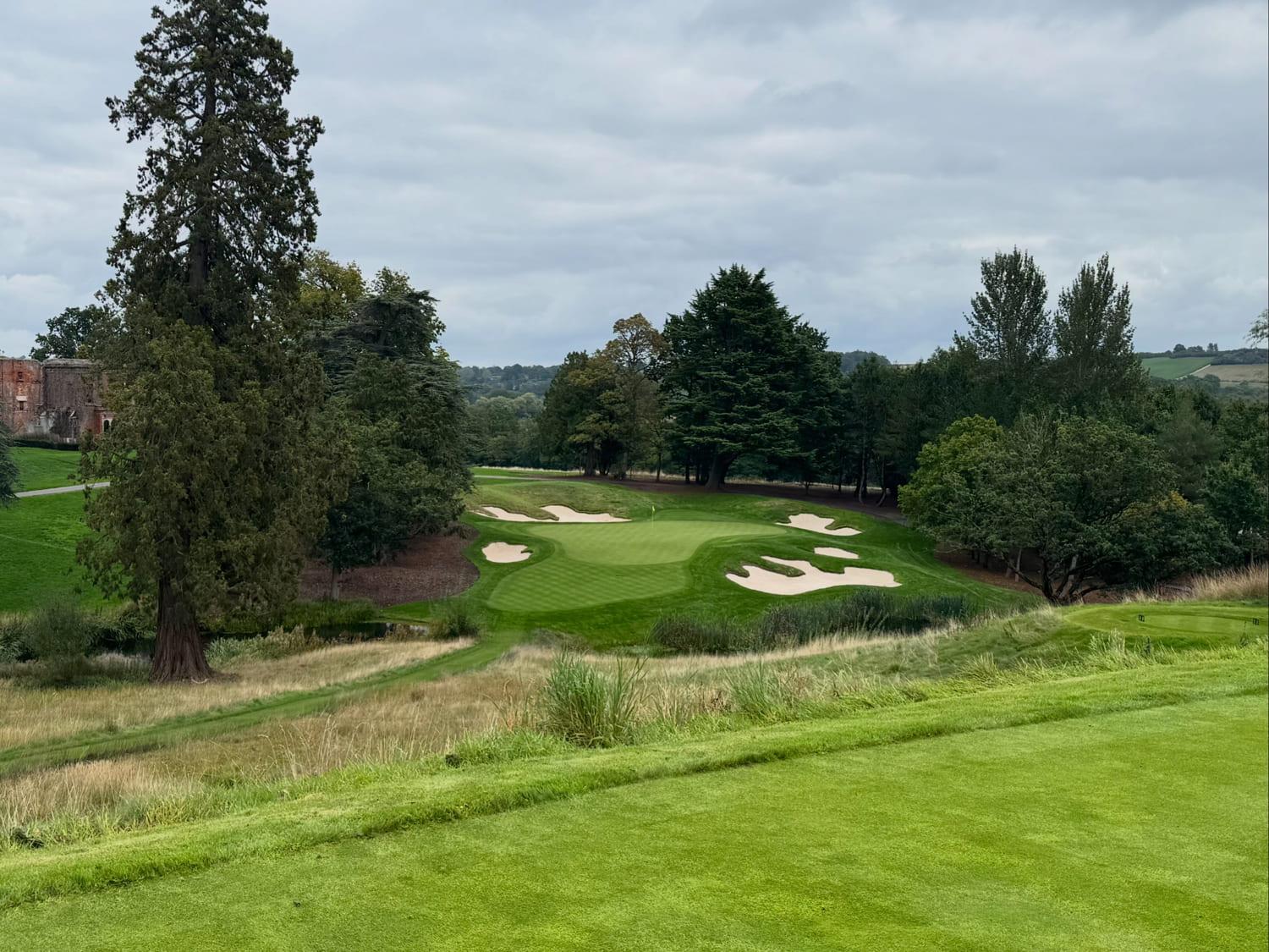 A parkland green ringed by bunkers, seen from an elevated tee across rough grass, mature cedars and a pond below it